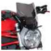Foto: Sports Screen Aerosport Ducati Monster DN8300 - thumbnail