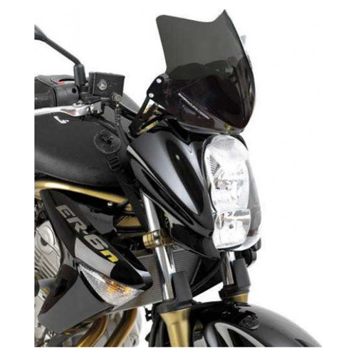 Kawasaki ER6-N (2005 - 2008) Aerosport Windscherm
