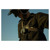 Foto: Chesty - thumbnail