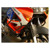 Foto: Valbeugel, Honda XL 1000 Varadero 03-11 - thumbnail