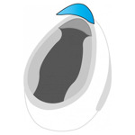 Chin Curtain IS-Max II