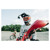 Foto: Boom and Adhesive Mounts - thumbnail