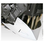 Motorspoiler Yamaha FZ1-n