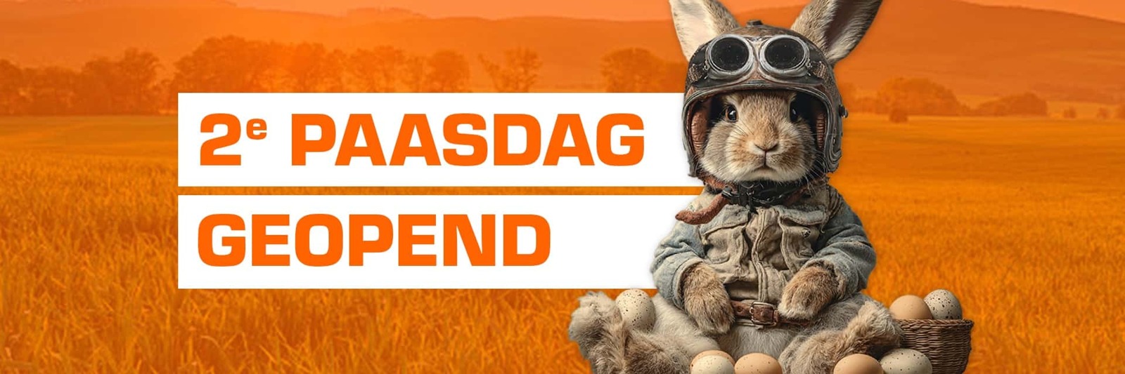 Foto: Homepage banner